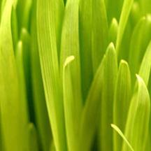 游戏充值中心的网站攻击器