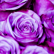 怎么攻击游戏服务器